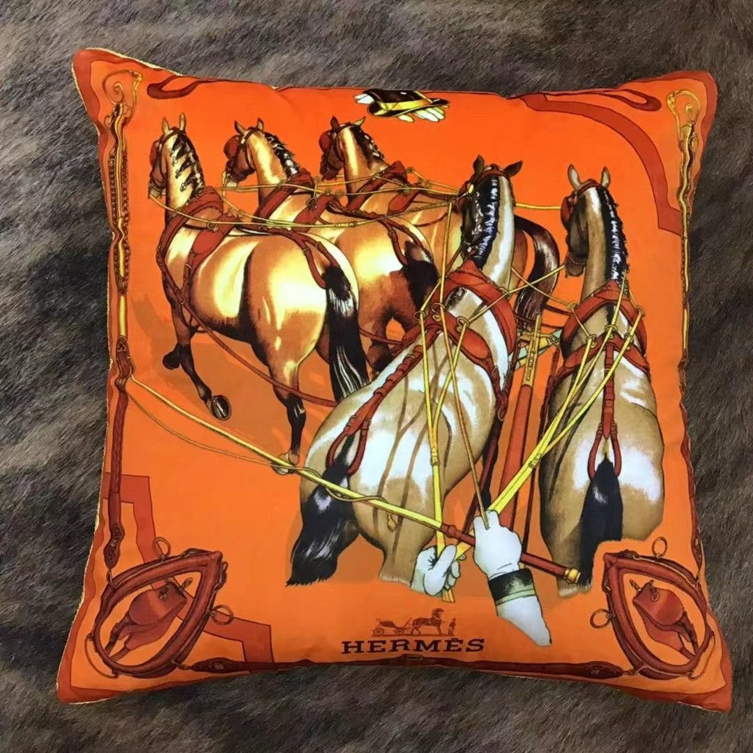 Velvet cushion from Hermes  - Image 7 of 10